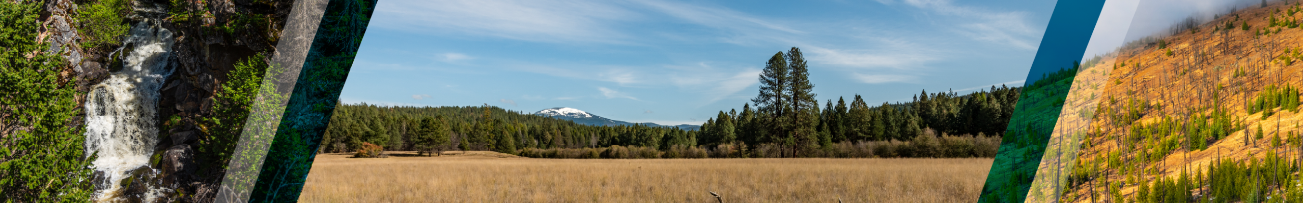 Climate Resiliency Element photo collage